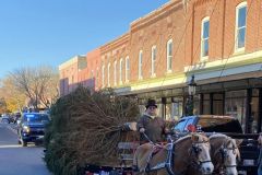 tree-carriage-ride.jpg